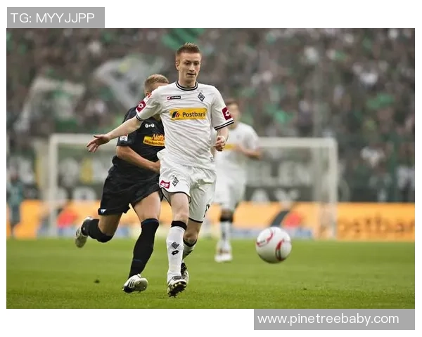 特尔施特根:从青涩门将到世界顶级守护者的华丽转身 特尔施特根:从青涩门将到世界顶级守护者的华丽转身