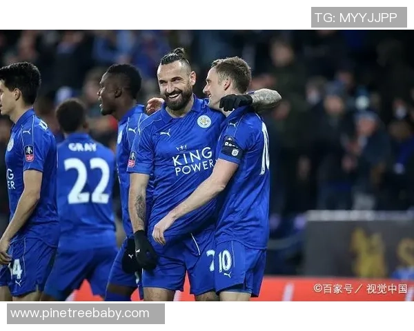 纽卡斯联主场迎战莱斯特城双方争夺英超宝贵积分之战 纽卡斯联主场迎战莱斯特城双方争夺英超宝贵积分之战