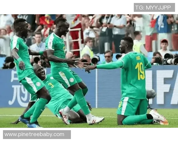 非洲杯精彩对决贝宁迎战摩洛哥力争小组出线 非洲杯精彩对决贝宁迎战摩洛哥力争小组出线