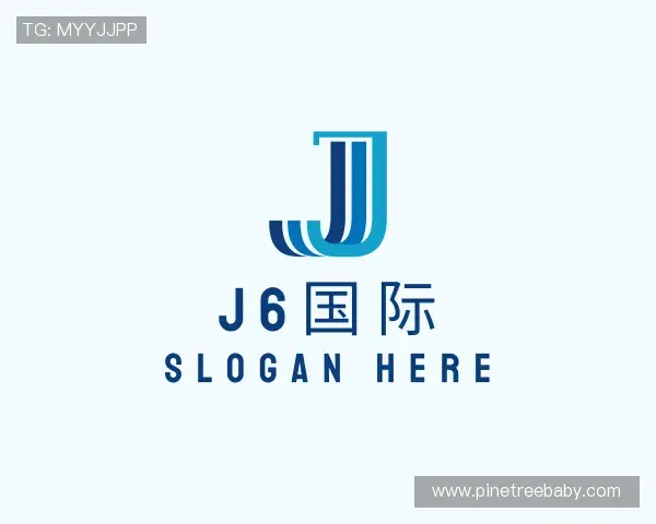 介绍j6国际