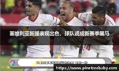 塞维利亚新援表现出色，球队或成新赛季黑马