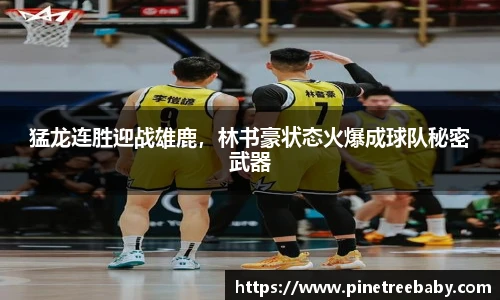 BG大游
