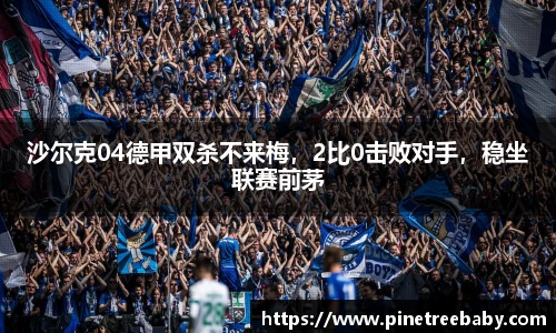 沙尔克04德甲双杀不来梅，2比0击败对手，稳坐联赛前茅