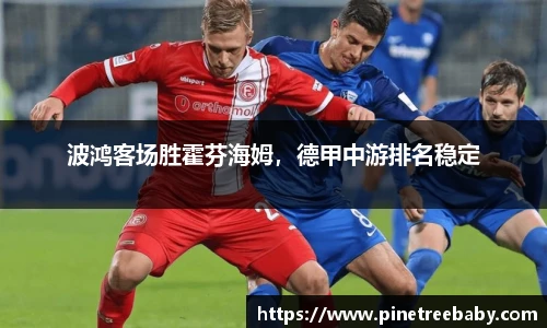 波鸿客场胜霍芬海姆，德甲中游排名稳定