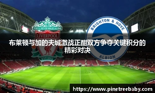 布莱顿与加的夫城激战正酣双方争夺关键积分的精彩对决