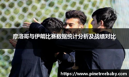 摩洛哥与伊朗比赛数据统计分析及战绩对比