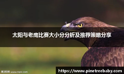 BG大游集团